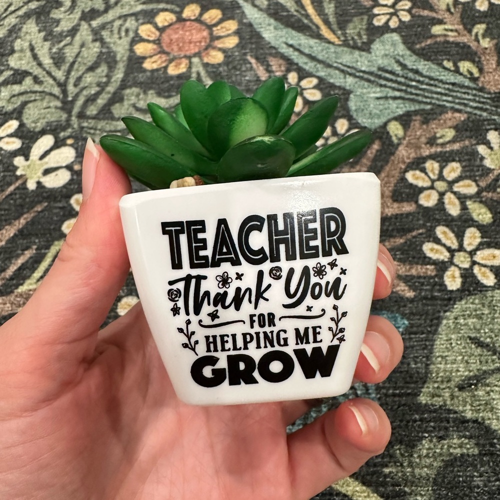 Teacher Appreciation Succulent Planter Fake